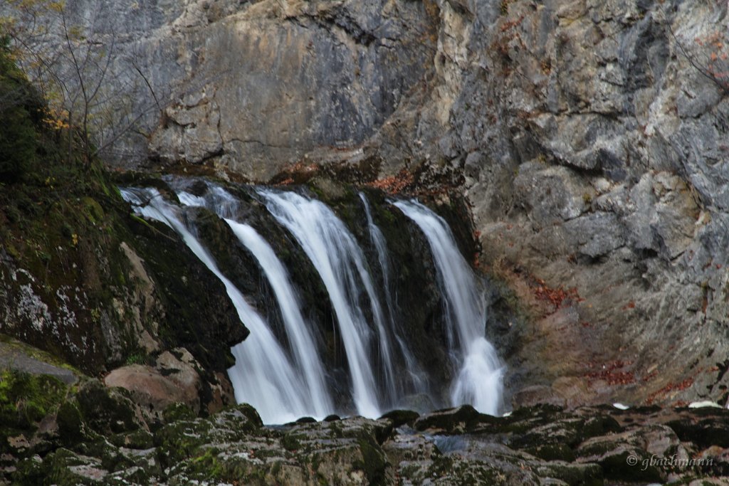 20101030_045